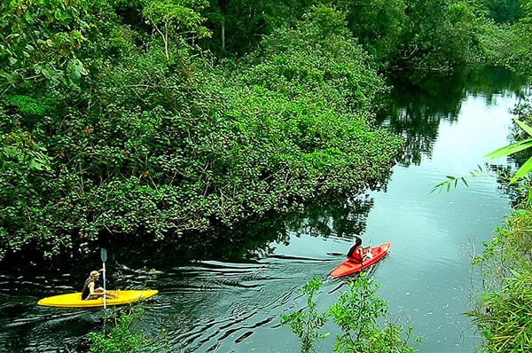 Amazonas Sin Limites